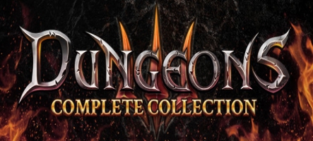 Dungeons 3 : Complete Collection (PC, PS4, Xbox One)