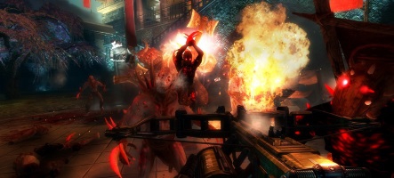 Une bande-annonce délirante pour Shadow Warrior