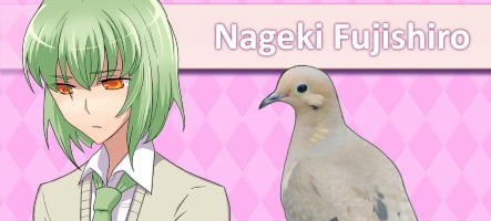 Hatoful Boyfriend vous fera aimer les pigeons sur Steam