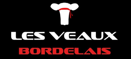 Les Veaux Bordelais 2014, le tournoi de Versus Fighting pour tous