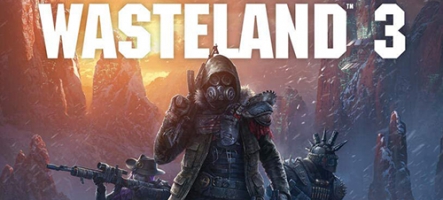 Wasteland 3 (PC, PS4, Xbox One)