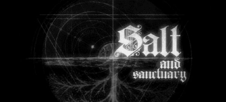 Salt and Sanctuary, un jeu assaisonné sur PS4 et PS Vita