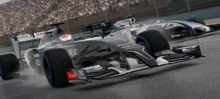 F1 2014 : Les plus grands pilotes du monde