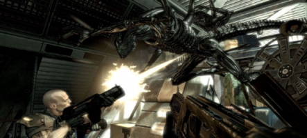 Le jeu Aliens versus Predator offert !