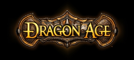 Un coffret collector pour Dragon Age : Origins