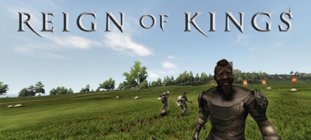 Reign Of Kings : Construction, gestion, et enlèvements