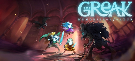 Greak : Memories of Azur (PC, PS5, Xbox Series X, Switch)