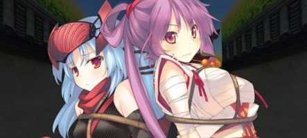 Dungeon Travelers 2: The Royal Library & the Monster Seal sort cet automne