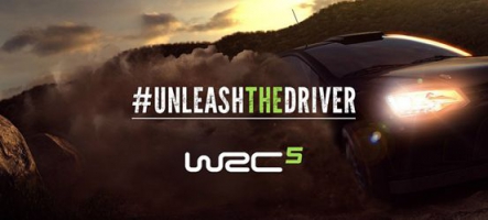 WRC 5 : Découvrez les premières images de gameplay du jeu