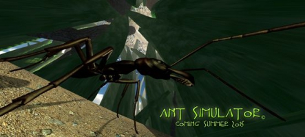 Ant Simulator : Jouez... une fourmi !