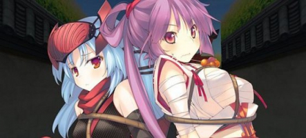 Dungeon Travelers 2: The Royal Library & the Monster Seal sur PS Vita