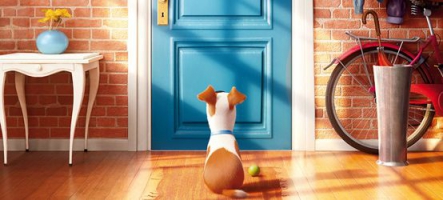 The Secret Life of Pets, la bande annonce