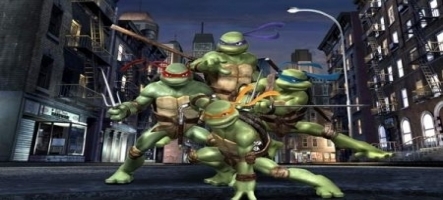 Les Tortues Ninja soldées