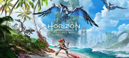 Horizon Forbidden West (PS4, PS5)