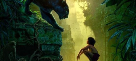 Le Livre de la jungle adapté en film par le réalisateur d'Iron Man