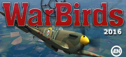 Warbirds 2016 : Pilotez un avion de chasse de la Seconde Guerre