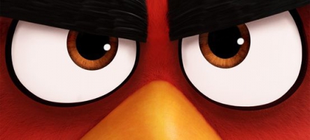 Angry Birds : Le film ! La bande-annonce !