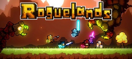 Roguelands : Un jeu de rôle multijoueur