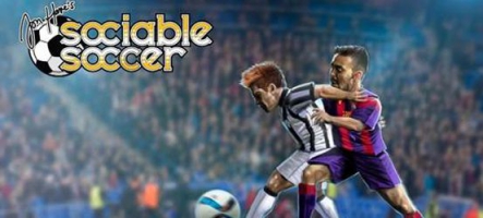 Sociable Soccer : le successeur spirituel de Sensible Soccer