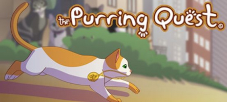 The Puring Quest : Jouez un chat