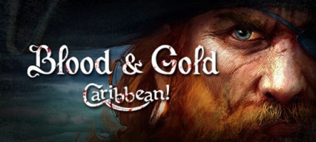 Blood & Gold: Caribbean!, un jeu de rôle au pays des pirates