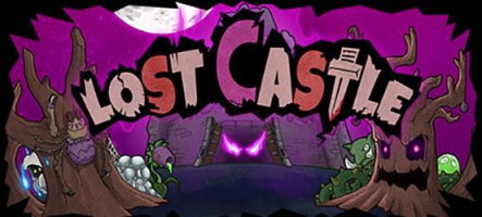 Lost Castle : Un mélange de Beat'em all et de jeu de rôle