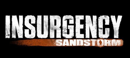 Insurgency: Sandstorm, bienvenue en Irak durant la guerre