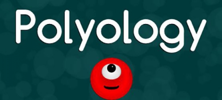 Polyology : Casse-tête à blocs