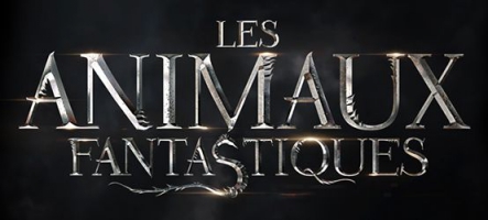 Les Animaux Fantastiques : un film de Harry Potter sans Harry Potter