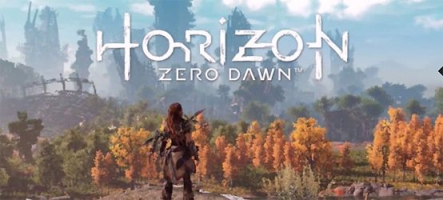 Horizon Zero Dawn retardé ?