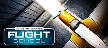 Dovetail Games Flight School : Apprenez à piloter un avion