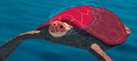 La chronique cinéma de Paf ! : La tortue rouge