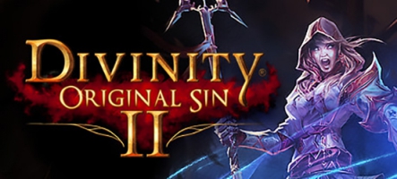 Divinity: Original Sin 2 s'offre un accès anticipé