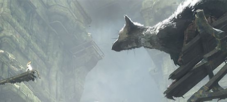 La blague du jour : The Last Guardian est terminé