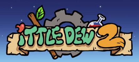 Ittle Dew 2 : Un jeu de rôle original