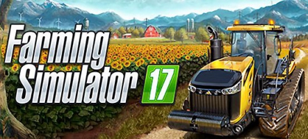 Farming Simulator 17 cartonne grave 