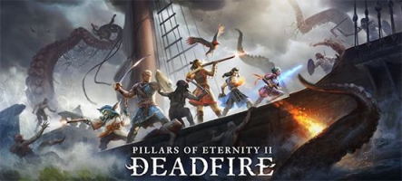 Pillars of Eternity 2: Deadfire récolte 1,1 million en moins de 24 heures