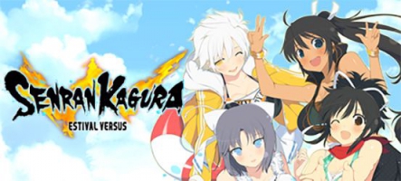 Senran Kagura Estival Versus : un jeu de combat avec des gros nichons