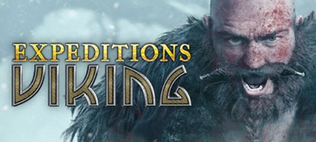 Expeditions: Viking, un jeu de rôle tactique. Avec des Vikings.