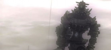 Un portage de Shadow of the Colossus sur PS3 ?