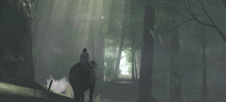 Shadow of the Colossus : chronique d'un jeu surcôté