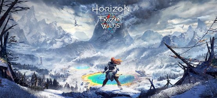 (TEST) Horizon Zero Dawn : The Frozen Wilds (PS4)