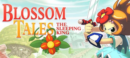 Blossom Tales: The Sleeping King sur Nintendo Switch