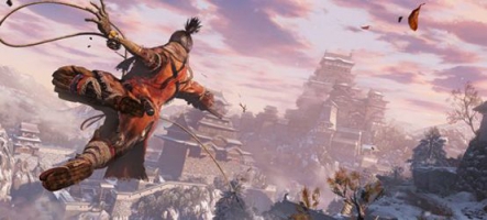 Sekiro : Shadows Die Twice s'illustre