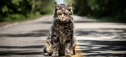 Simetierre : le roman de Stephen King au cinéma