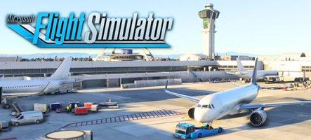 (E3 2019) Flight Simulator revient !