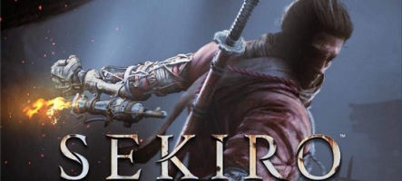 Découvrir Sekiro : Shadows Die Twice