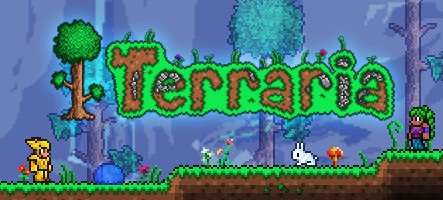 Terraria disponible dès aujourd'hui sur Nintendo Switch