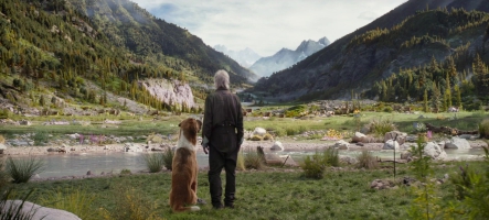 L'Appel de la Forêt ou la retraite d'Harrison Ford dans le Grand Nord