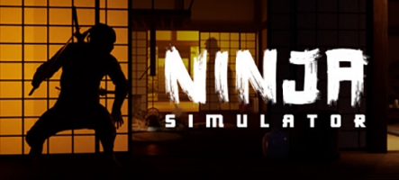 Ninja Simulator : le titre parle de lui-même